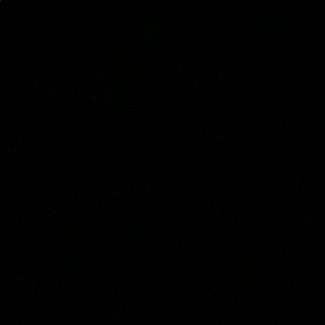 Meet your Posher, Zach